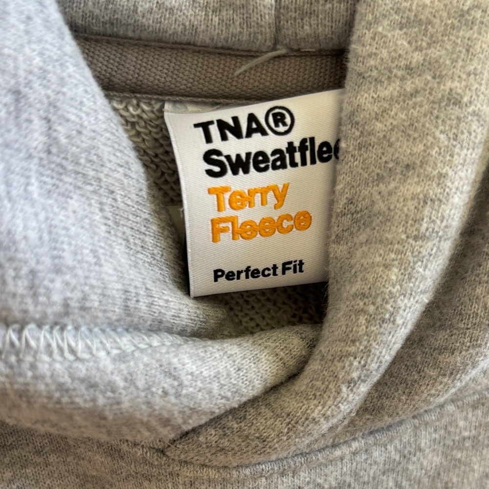 Aritzia Heather Gray Pullover Hoodie